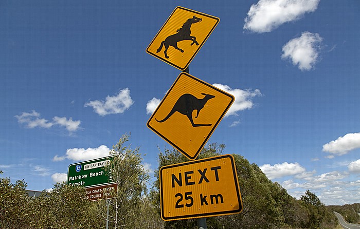 Tin Can Bay Verkehrsschilder: Freilaufende Pferde und freihüpfende Kängurus
