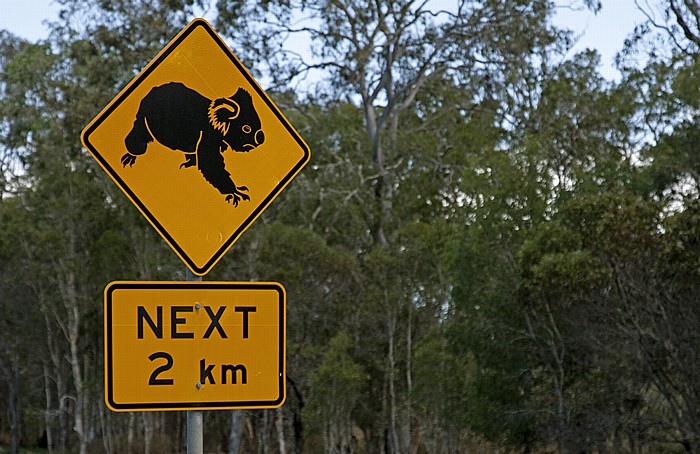 Koala-Verkehrsschild Maryborough