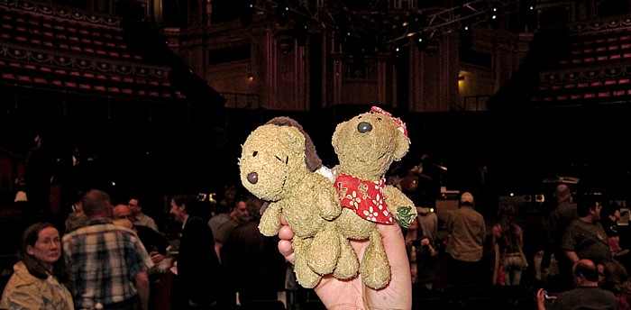 London Royal Albert Hall: Nach dem Mark Knopfler-Konzert - Teddy und Teddine