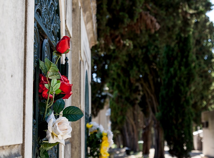 Estrela: Cemitério dos Prazeres Lissabon
