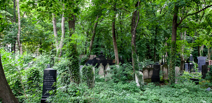 Berlin Prenzlauer Berg: Jüdischer Friedhof Schönhauser Allee