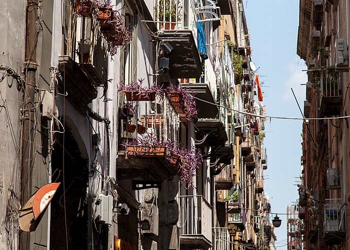 Neapel Centro Storico: Via San Biagio dei Librai