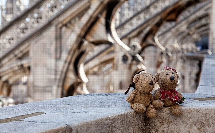 Mailand Mailänder Dom (Duomo di Santa Maria Nascente): Teddy und Teddine
