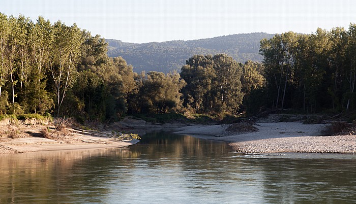 Wachau: Donau, Alter Donauarm Schönbühel-Aggsbach