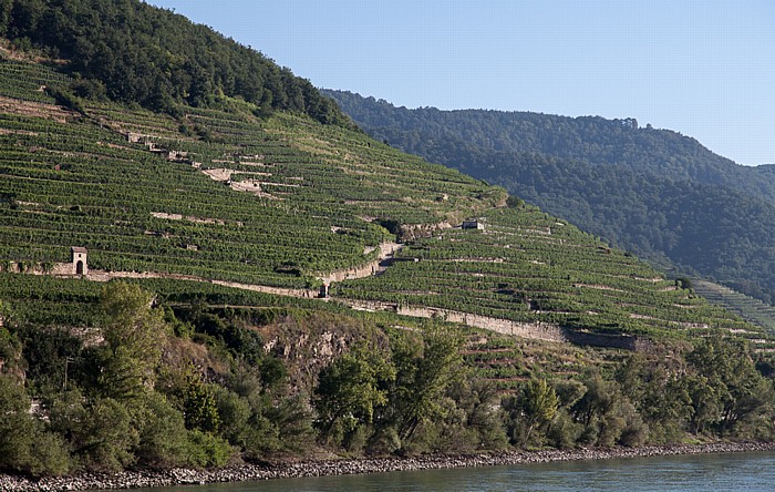 Weißenkirchen in der Wachau Wachau: Weinberge