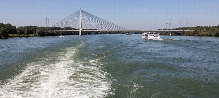 Donau, Rosenbrücke Tulln an der Donau