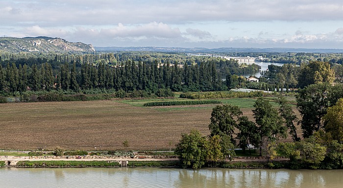 Blick vom Rocher des Doms: Rhone, Île de la Barthelasse Avignon