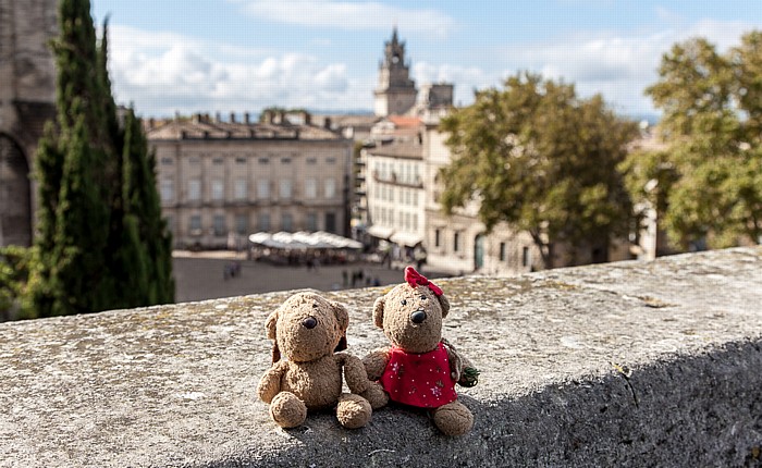 Avignon Intra-muros: Place du Palais - Teddy und Teddine