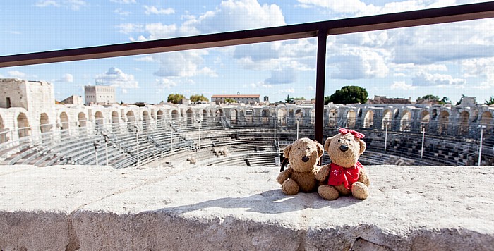 Amphitheater (Arènes d'Arles): Teddy und Teddine