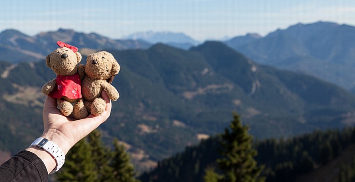 Wallberg Teddine und Teddine