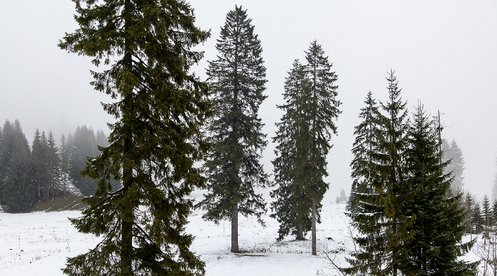 Blick aus dem BLSV-Haus Bergsee Spitzingsee