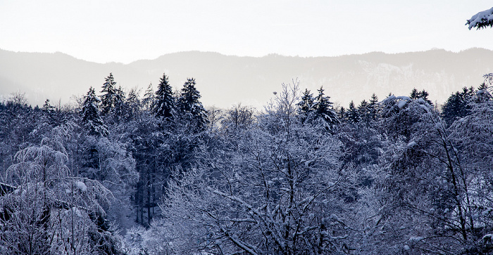 Blick aus dem Hotel Alpenhof Grainau