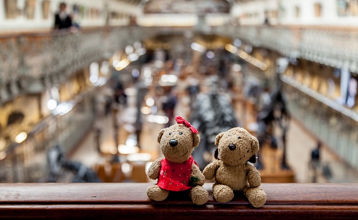 Paris Muséum national d’histoire naturelle (Galerie de Paléontologie et d’Anatomie Comparée): Teddine und Teddy