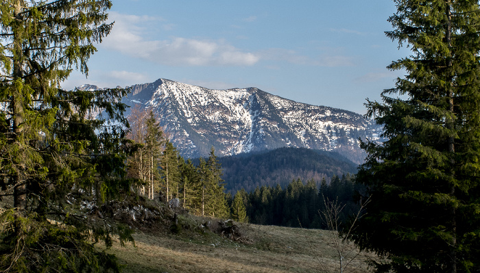 Tal der Roten Valepp Rote Valepp