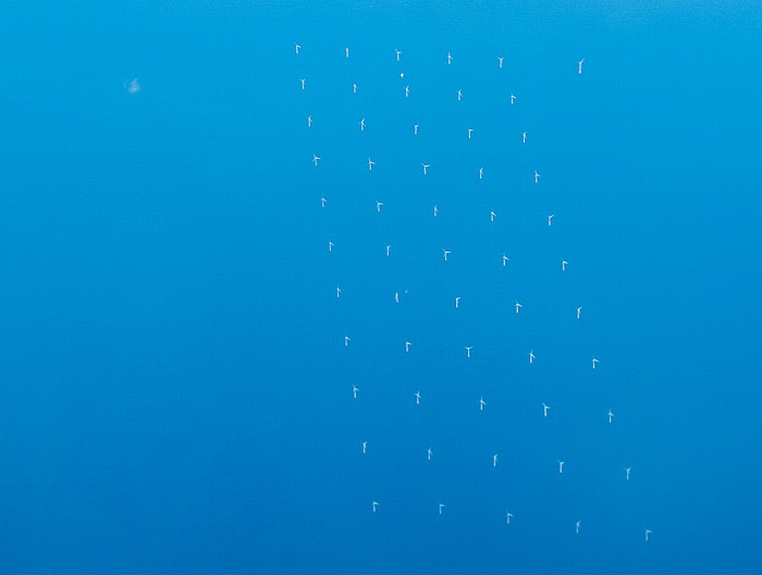 Ärmelkanal (English Channel): Offshore-Windkraftanlagen England