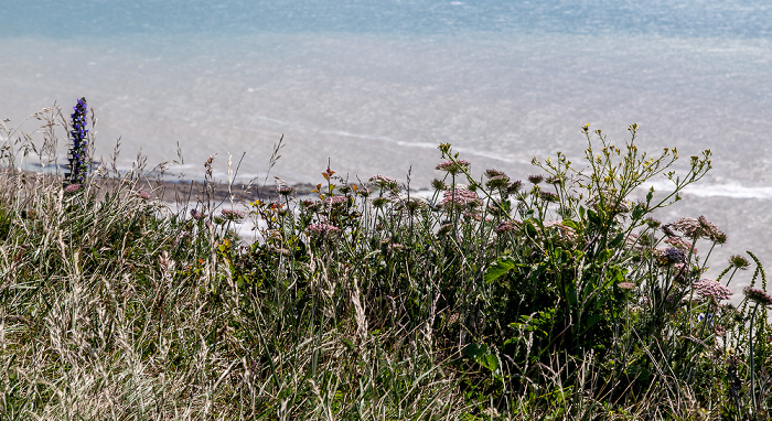 Beachy Head South Downs