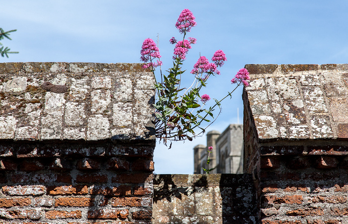 Garten des Bischofspalastes Chichester