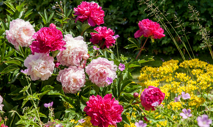 Garten des Bischofspalastes Chichester