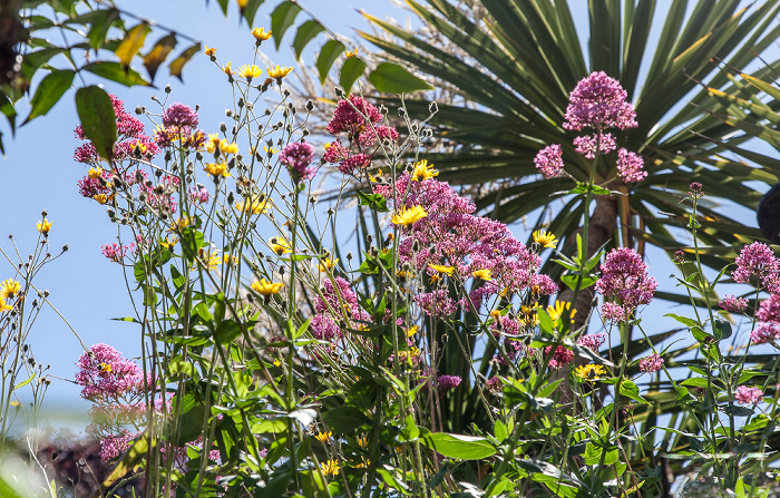 Garten des Bischofspalastes Chichester