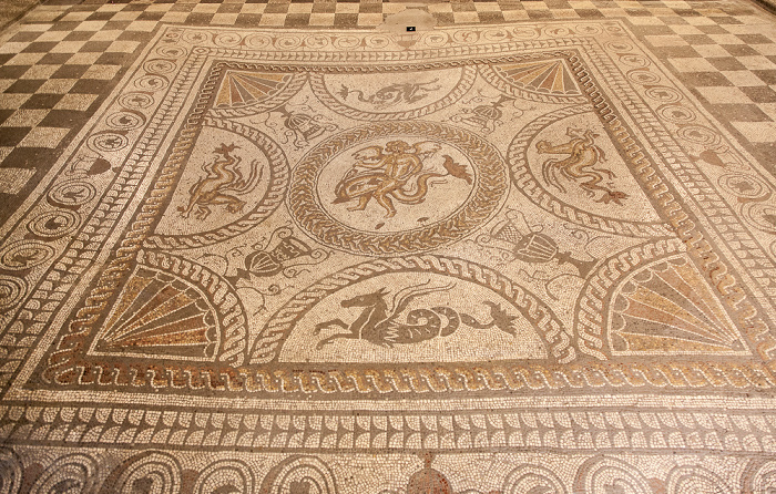 Fishbourne Roman Palace: Museum - Mosaik