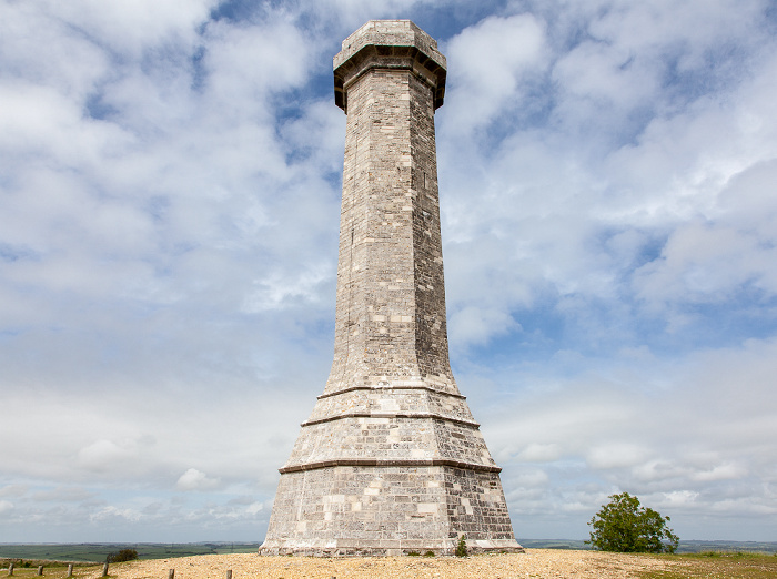Hardy Monument Black Down