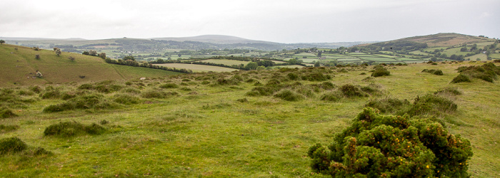 Dartmoor National Park Dartmoor