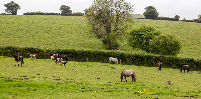 Dartmoor National Park Dartmoor