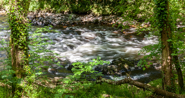 Dartmoor: River Dart Dartmoor National Park