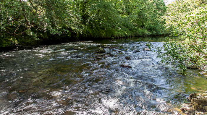 Dartmoor National Park Dartmoor: River Dart