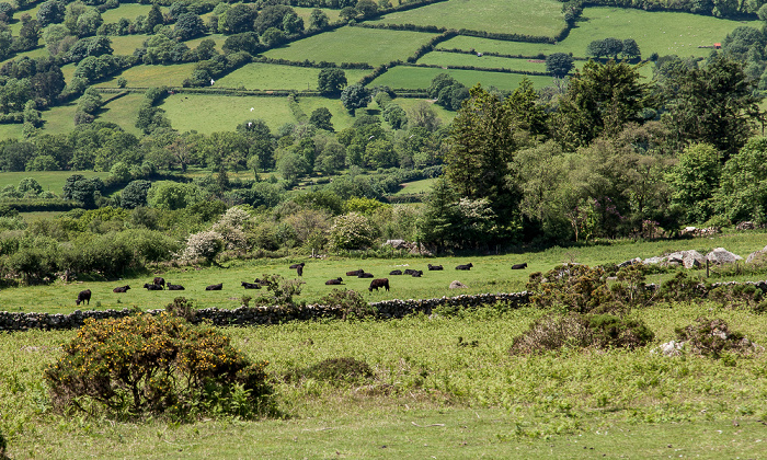 Dartmoor Dartmoor National Park