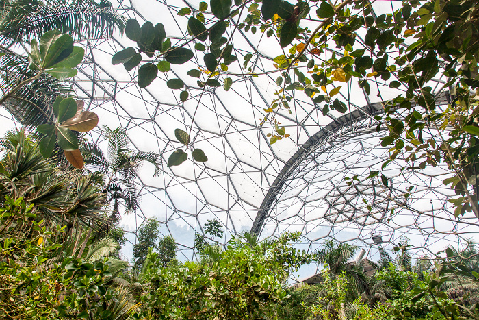 Eden Project: Rainforest Biome St Blazey