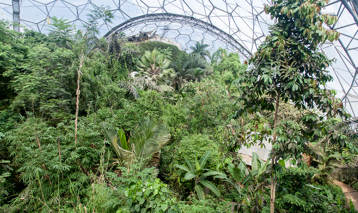 St Blazey Eden Project: Rainforest Biome