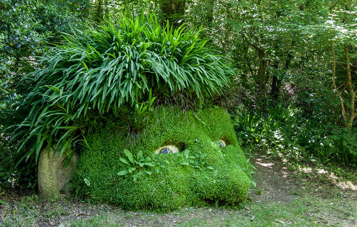 Mevagissey Lost Gardens of Heligan: Giant's Head
