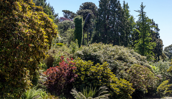 Lost Gardens of Heligan: The Jungle Mevagissey