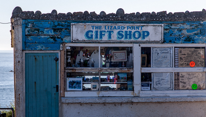 Lizard Point Lizard