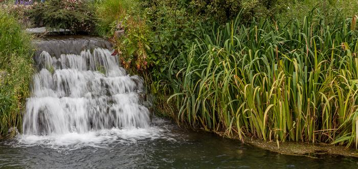 Wells Bishop's Palace Gardens: Wasserfall