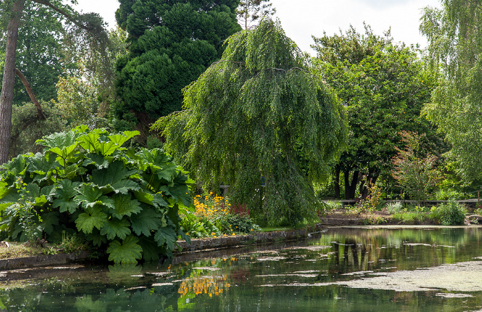 Bishop's Palace Gardens: The Wells Wells