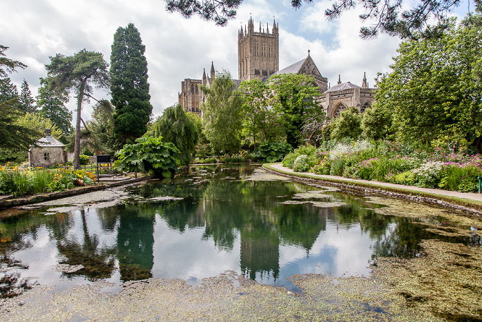 Bishop's Palace Gardens, The Well Pool, Wells Cathedral Wells