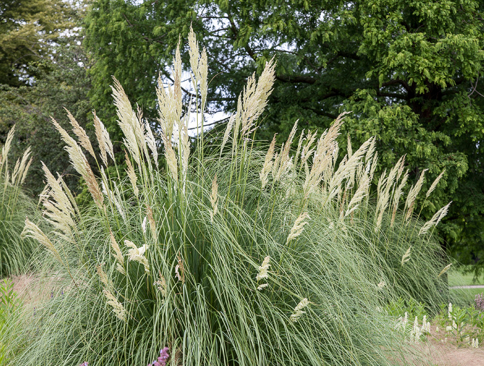 Herrenhäuser Gärten: Berggarten Hannover