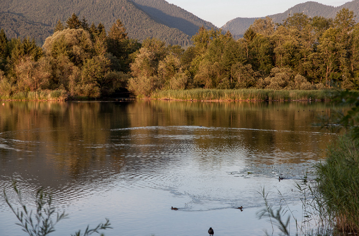 Tegernsee (See) Ringsee