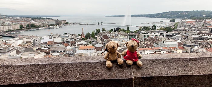 Genf Cathédrale Saint-Pierre (Kathedrale St. Peter): Teddy und Teddine Cité-Centre Genfer See Jet d’eau