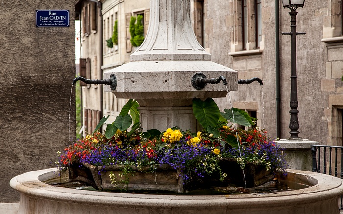 Genf Cité-Centre: Rue Jean-Calvin - Brunnen