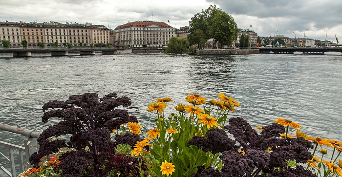 Genf Promenade du Lac, Rhône Île Rousseau Pont des Bergues Pont du Mont-Blanc Quai des Bergues