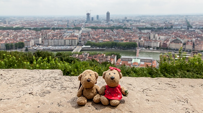 Lyon Fourvière: Teddy und Teddine La Part-Dieu Presqu'île Saône Vieux Lyon