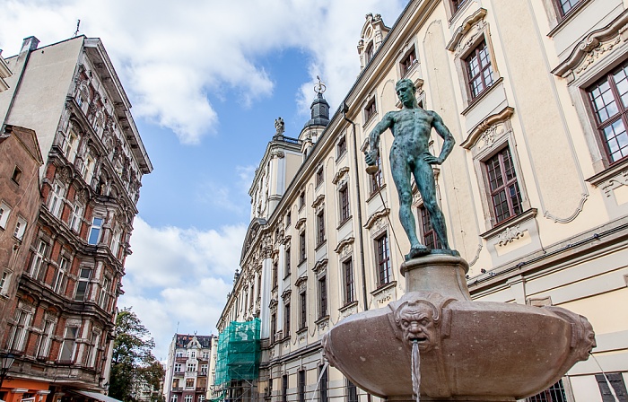 Stare Miasto: Universitätsviertel - Plac Uniwersytecki mit Fechterbrunnen Breslau