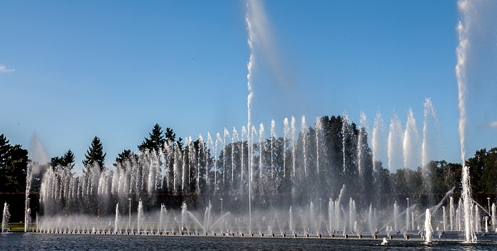 Scheitniger Park (Park Szczytnicki): Wroclaw Multimedia-Brunnen Breslau