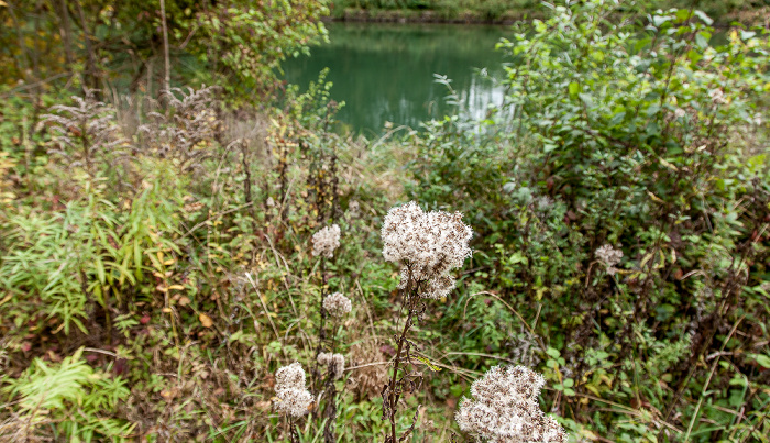 Pullach im Isartal Isartal Isarwehrkanal