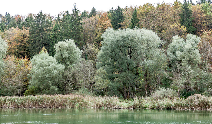 Isar, Isartal (Indian Summer) Baierbrunn