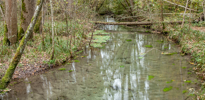 Isartal: Mühlbach Schäftlarn