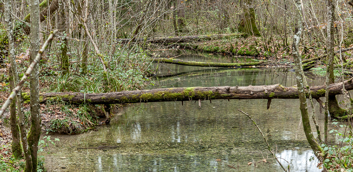 Isartal: Mühlbach Schäftlarn